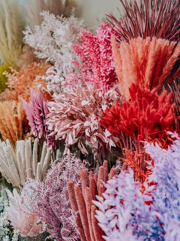 Marie Fichera - Artisan Fleuriste & Designer Floral